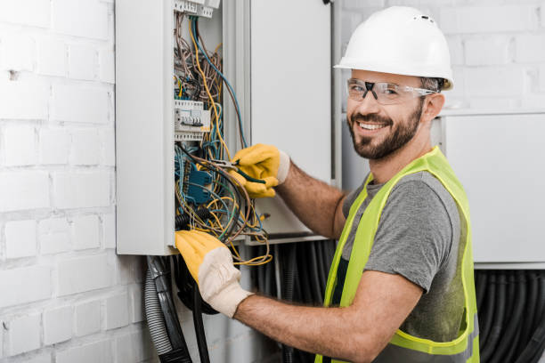 Best Industrial Electrical Services  in Dryden, MI