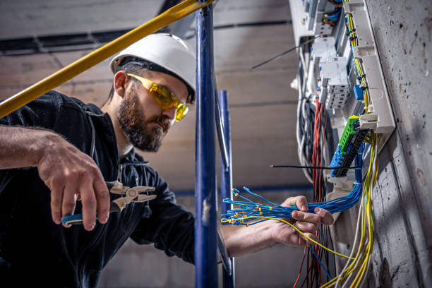 Best Electrical Troubleshooting Services  in Dryden, MI