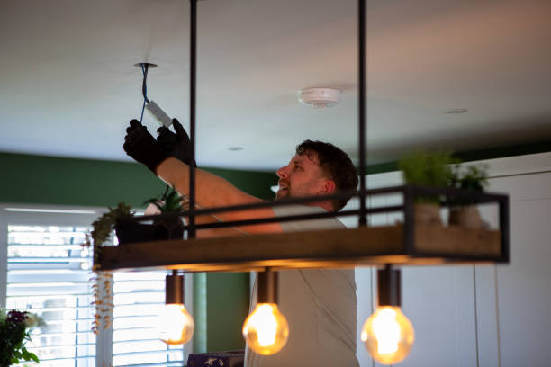 Best Electrician Near Me  in Dryden, MI