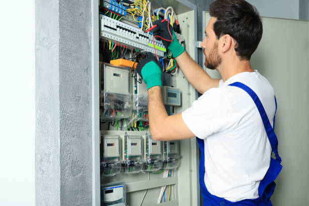 Best Electrical System Inspection  in Dryden, MI