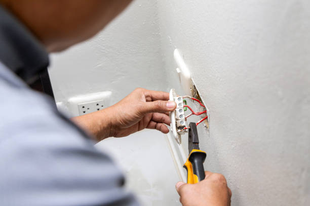 Best Electrical Rewiring Services  in Dryden, MI