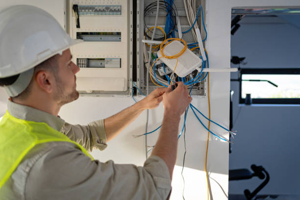 Best Electrical Repair Services  in Dryden, MI