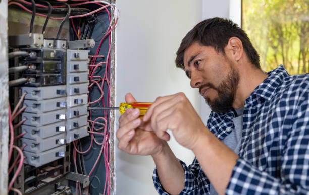 Best Home Electrical Repair  in Dryden, MI